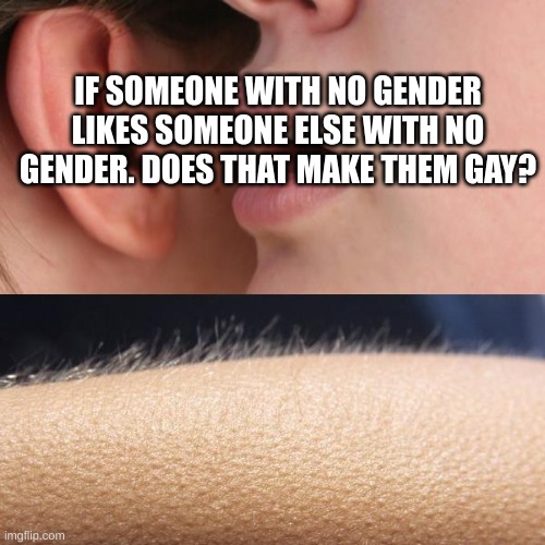 a question i have had for a long time | IF SOMEONE WITH NO GENDER LIKES SOMEONE ELSE WITH NO GENDER. DOES THAT MAKE THEM GAY? | image tagged in whisper and goosebumps,funny memes,memes,genders,question,funny | made w/ Imgflip meme maker