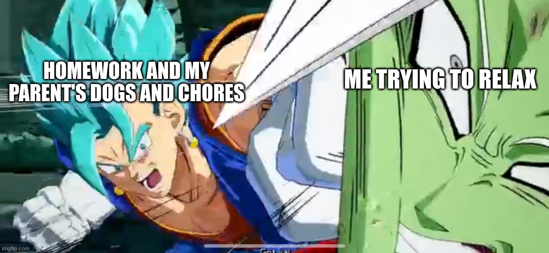 Vegito punching | ME TRYING TO RELAX; HOMEWORK AND MY PARENT'S DOGS AND CHORES | image tagged in vegito punching | made w/ Imgflip meme maker
