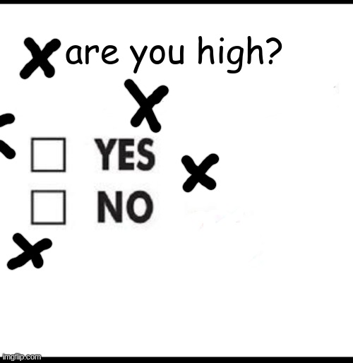 Check yes or no | are you high? | image tagged in check yes or no | made w/ Imgflip meme maker