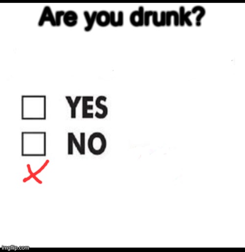 Check yes or no | Are you drunk? | image tagged in check yes or no | made w/ Imgflip meme maker
