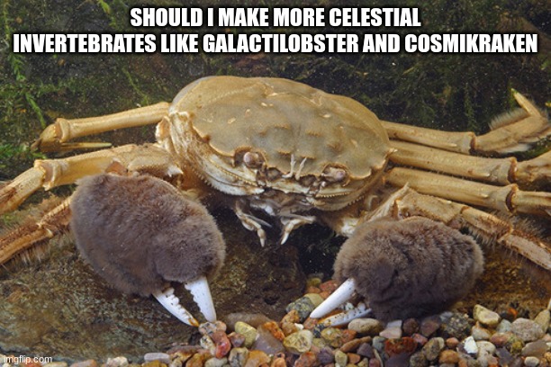 Mitten Crab | SHOULD I MAKE MORE CELESTIAL INVERTEBRATES LIKE GALACTILOBSTER AND COSMIKRAKEN | image tagged in mitten crab | made w/ Imgflip meme maker