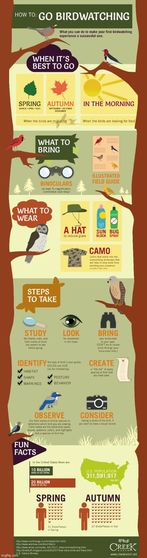 HOW TO GO BIRDWATCHING: An Infographic I Found Online (Repost - NOT MINE) | image tagged in simothefinlandized,birdwatching,infographic,repost | made w/ Imgflip meme maker