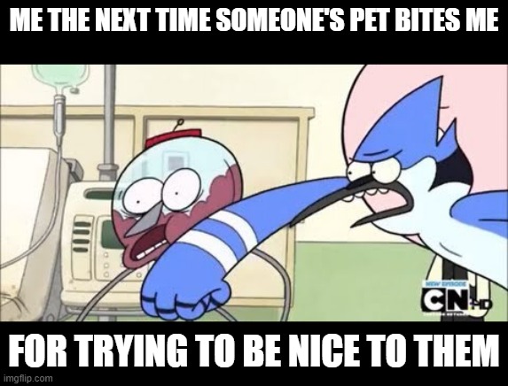 I have just about had it with this shit around here and it's getting extremely old control your pet dammit just control your pet | ME THE NEXT TIME SOMEONE'S PET BITES ME; FOR TRYING TO BE NICE TO THEM | image tagged in mordecai,benson,regular show,memes,enough is enough,mordecai punches benson | made w/ Imgflip meme maker