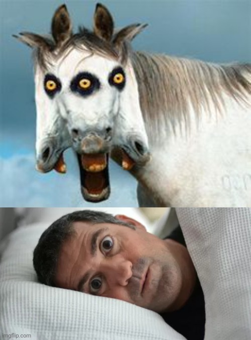 Cursed horse | image tagged in unsettled man,cursed image,horses,horse,memes,meme | made w/ Imgflip meme maker