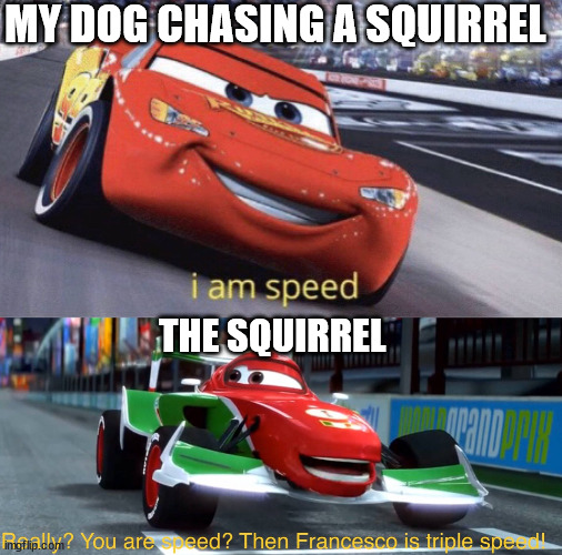 real | MY DOG CHASING A SQUIRREL; THE SQUIRREL | image tagged in i am speed but triple speed | made w/ Imgflip meme maker