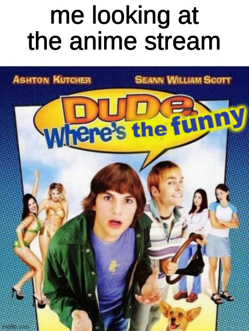 dude where's the funny | me looking at the anime stream | image tagged in dude where's the funny | made w/ Imgflip meme maker