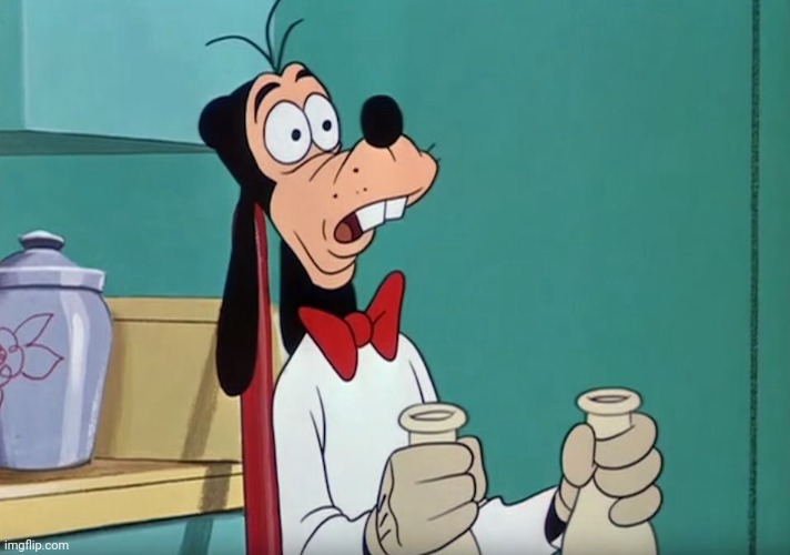 Caption this | image tagged in shocked goofy | made w/ Imgflip meme maker