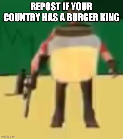 e | REPOST IF YOUR COUNTRY HAS A BURGER KING | image tagged in jarate 64 | made w/ Imgflip meme maker