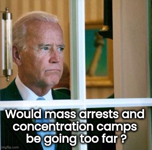 Sad Joe Biden | Would mass arrests and 
concentration camps 
be going too far ? | image tagged in sad joe biden | made w/ Imgflip meme maker