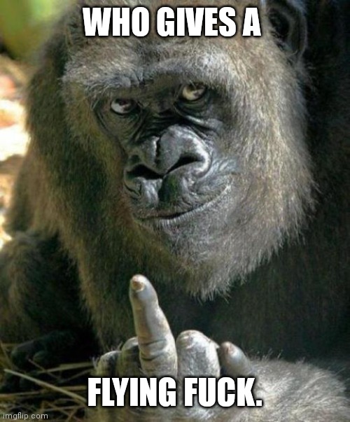 gorilla middle finger | WHO GIVES A; FLYING FUCK. | image tagged in gorilla middle finger | made w/ Imgflip meme maker