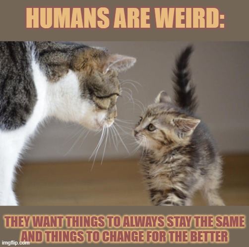 This #lolcat wonders if people know what they actually want | HUMANS ARE WEIRD:; THEY WANT THINGS TO ALWAYS STAY THE SAME
AND THINGS TO CHANGE FOR THE BETTER | image tagged in contradiction,lolcat,human race,humans are weird,what do we want | made w/ Imgflip meme maker