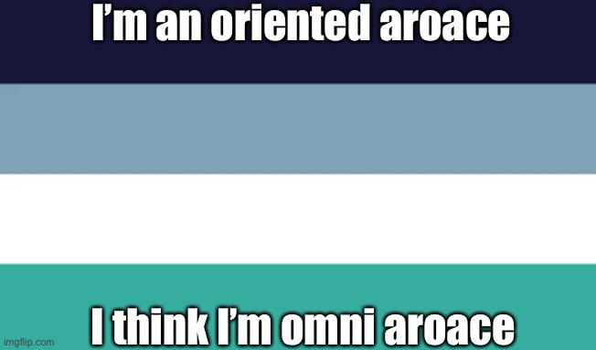 waaaaaaaaaaaaaaaaaaaaaaaaaaaaaaaaaaaaaa | I’m an oriented aroace; I think I’m omni aroace | image tagged in idk why i made that the title | made w/ Imgflip meme maker