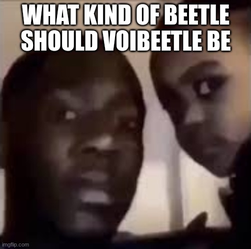 Disappointed man and baby | WHAT KIND OF BEETLE SHOULD VOIBEETLE BE | image tagged in disappointed man and baby | made w/ Imgflip meme maker