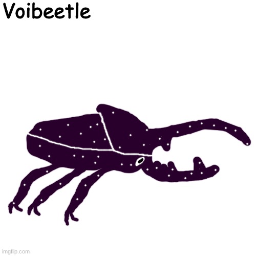 funy (suggested by floppa) | Voibeetle | made w/ Imgflip meme maker