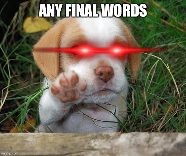 dog puppy bye | ANY FINAL WORDS | image tagged in dog puppy bye | made w/ Imgflip meme maker