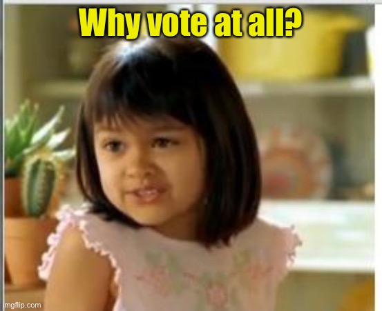 Why not both | Why vote at all? | image tagged in why not both | made w/ Imgflip meme maker