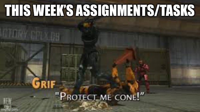 Protect me cone | THIS WEEK’S ASSIGNMENTS/TASKS | image tagged in protect me cone | made w/ Imgflip meme maker