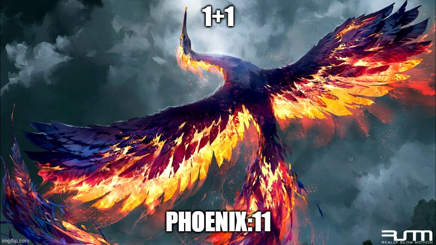 math phoenix | 1+1; PHOENIX:11 | image tagged in phoenix | made w/ Imgflip meme maker