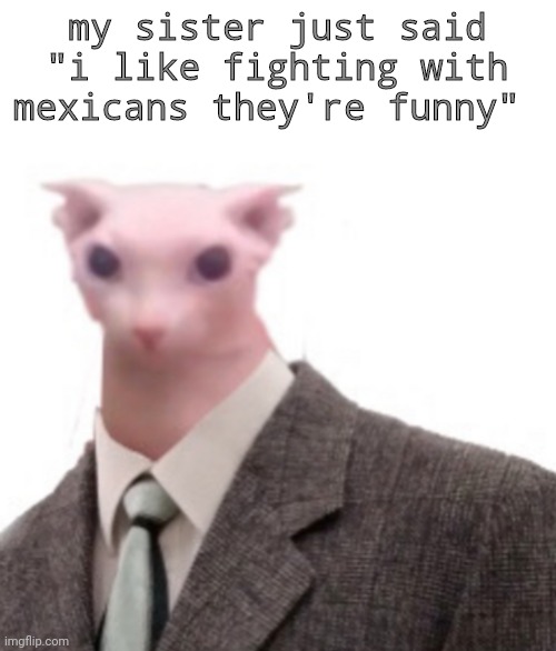 i need a new temp | my sister just said "i like fighting with mexicans they're funny" | image tagged in bingus | made w/ Imgflip meme maker