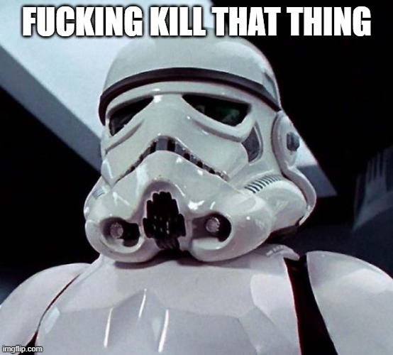 Stormtrooper | FUCKING KILL THAT THING | image tagged in stormtrooper | made w/ Imgflip meme maker