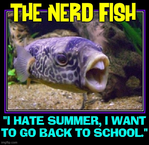 Every Aquarium has that One Fish | THE NERD FISH; "I HATE SUMMER, I WANT
TO GO BACK TO SCHOOL." | image tagged in vince vance,school of fish,aquarium,nerds,revenge of the nerds,memes | made w/ Imgflip meme maker