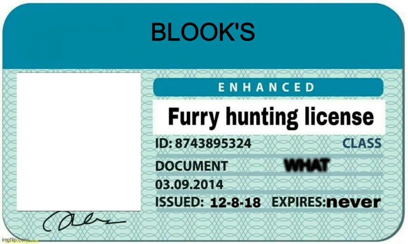 furry hunting license | BLOOK'S WHAT | image tagged in furry hunting license | made w/ Imgflip meme maker