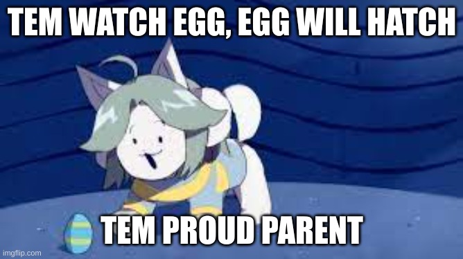 tem wach egg | TEM WATCH EGG, EGG WILL HATCH; TEM PROUD PARENT | image tagged in tem watch egg,temmie | made w/ Imgflip meme maker