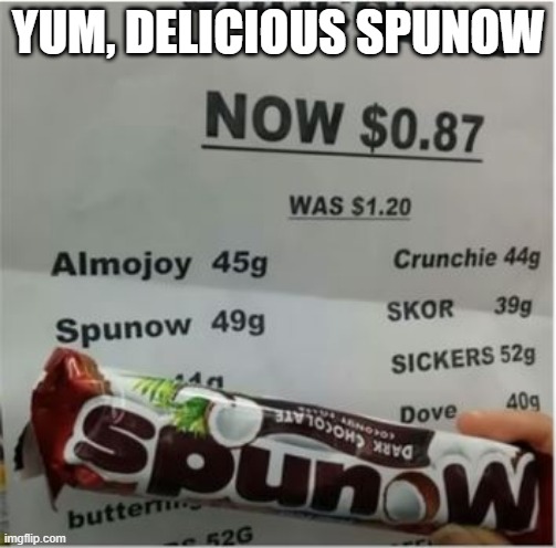 Wrong Side Up | YUM, DELICIOUS SPUNOW | image tagged in you had one job | made w/ Imgflip meme maker