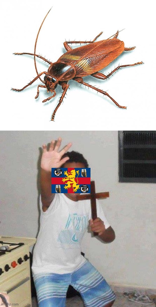 image tagged in cockroach,kid with cross | made w/ Imgflip meme maker