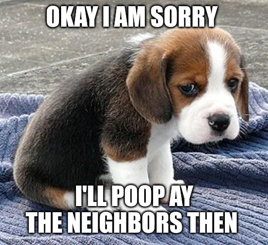 sad puppy | OKAY I AM SORRY I'LL POOP AY THE NEIGHBORS THEN | image tagged in sad puppy | made w/ Imgflip meme maker