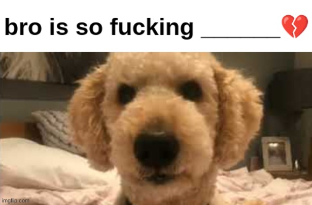 repost but fill the blank | made w/ Imgflip meme maker