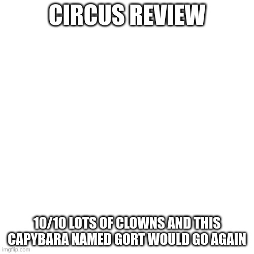 circus review | CIRCUS REVIEW; 10/10 LOTS OF CLOWNS AND THIS CAPYBARA NAMED GORT WOULD GO AGAIN | image tagged in memes,blank transparent square | made w/ Imgflip meme maker