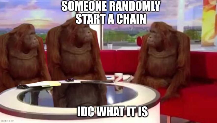 where monkey | SOMEONE RANDOMLY START A CHAIN; IDC WHAT IT IS | image tagged in where monkey | made w/ Imgflip meme maker