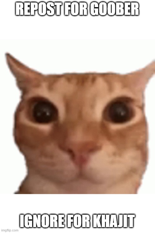 G̶̛͖̹̮̩̩̹̖̱͈̈̏̿̽̒͜͝O̶̩͓̻̞̻͕͒O̵̟̔̏̓̽̈B̷̢̳͍̖̦͇̜̎̂̽̿̎E̴̢̢̡̘͖͈̠͖̘͠Ŕ̶͇͈͉̤͈͕̭̼̲͇̤̤̙͚̽̈́͊̑̆̀̐̕͜͝ͅ ̶̦̣̳̲̒͛̊͋́͘͠ | REPOST FOR GOOBER; IGNORE FOR KHAJIT | made w/ Imgflip meme maker