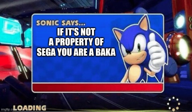 Sonic Says | IF IT'S NOT A PROPERTY OF SEGA YOU ARE A BAKA | image tagged in sonic says,sonic the hedgehog | made w/ Imgflip meme maker