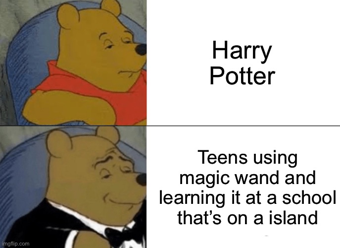 Tuxedo Winnie The Pooh | Harry Potter; Teens using magic wand and learning it at a school that’s on a island | image tagged in memes,tuxedo winnie the pooh | made w/ Imgflip meme maker