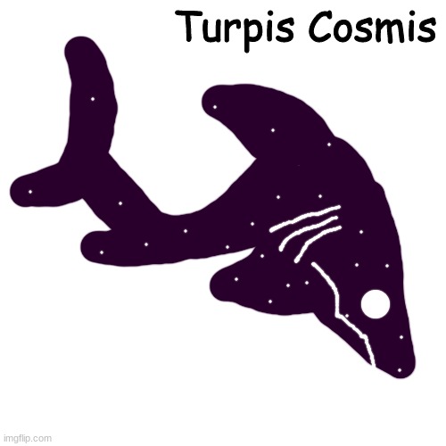 funi space shark | Turpis Cosmis | made w/ Imgflip meme maker