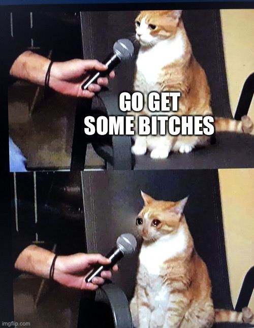 Cat interview crying | GO GET SOME BITCHES | image tagged in cat interview crying | made w/ Imgflip meme maker