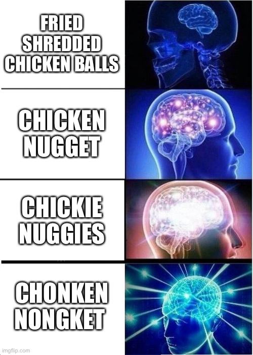 E | FRIED SHREDDED CHICKEN BALLS; CHICKEN NUGGET; CHICKIE NUGGIES; CHONKEN NONGKET | image tagged in memes,expanding brain | made w/ Imgflip meme maker