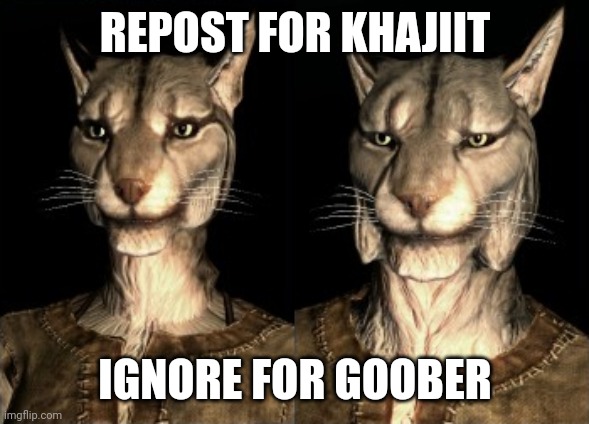 REPOST FOR KHAJIIT; IGNORE FOR GOOBER | made w/ Imgflip meme maker