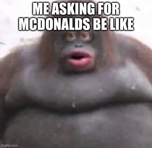 Le Monke | ME ASKING FOR MCDONALDS BE LIKE | image tagged in le monke | made w/ Imgflip meme maker