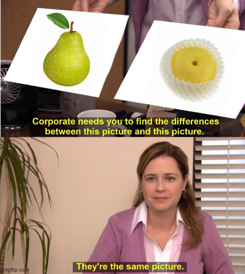 They're The Same Picture | image tagged in memes,they're the same picture | made w/ Imgflip meme maker