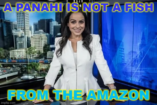 A Panahi Is Not A Fish from the Amazon | A PANAHI IS NOT A FISH; FROM THE AMAZON | image tagged in rita panahi | made w/ Imgflip meme maker