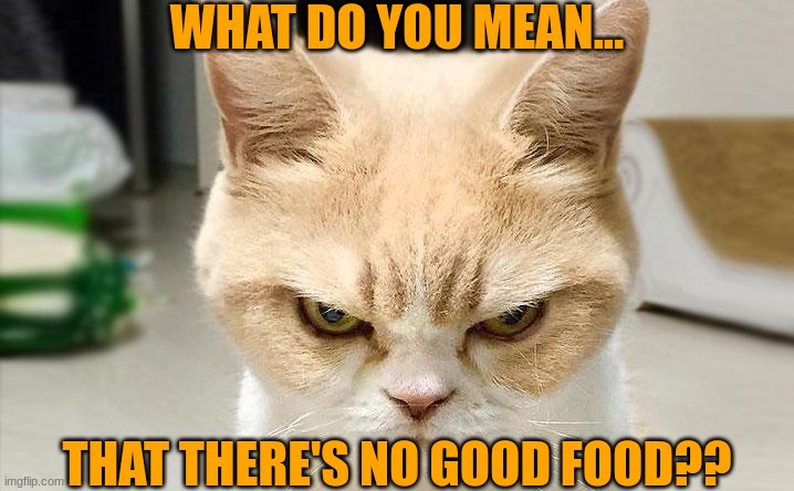 Angry No Food Cat | WHAT DO YOU MEAN... THAT THERE'S NO GOOD FOOD?? | image tagged in grumpy cat,cat,food | made w/ Imgflip meme maker