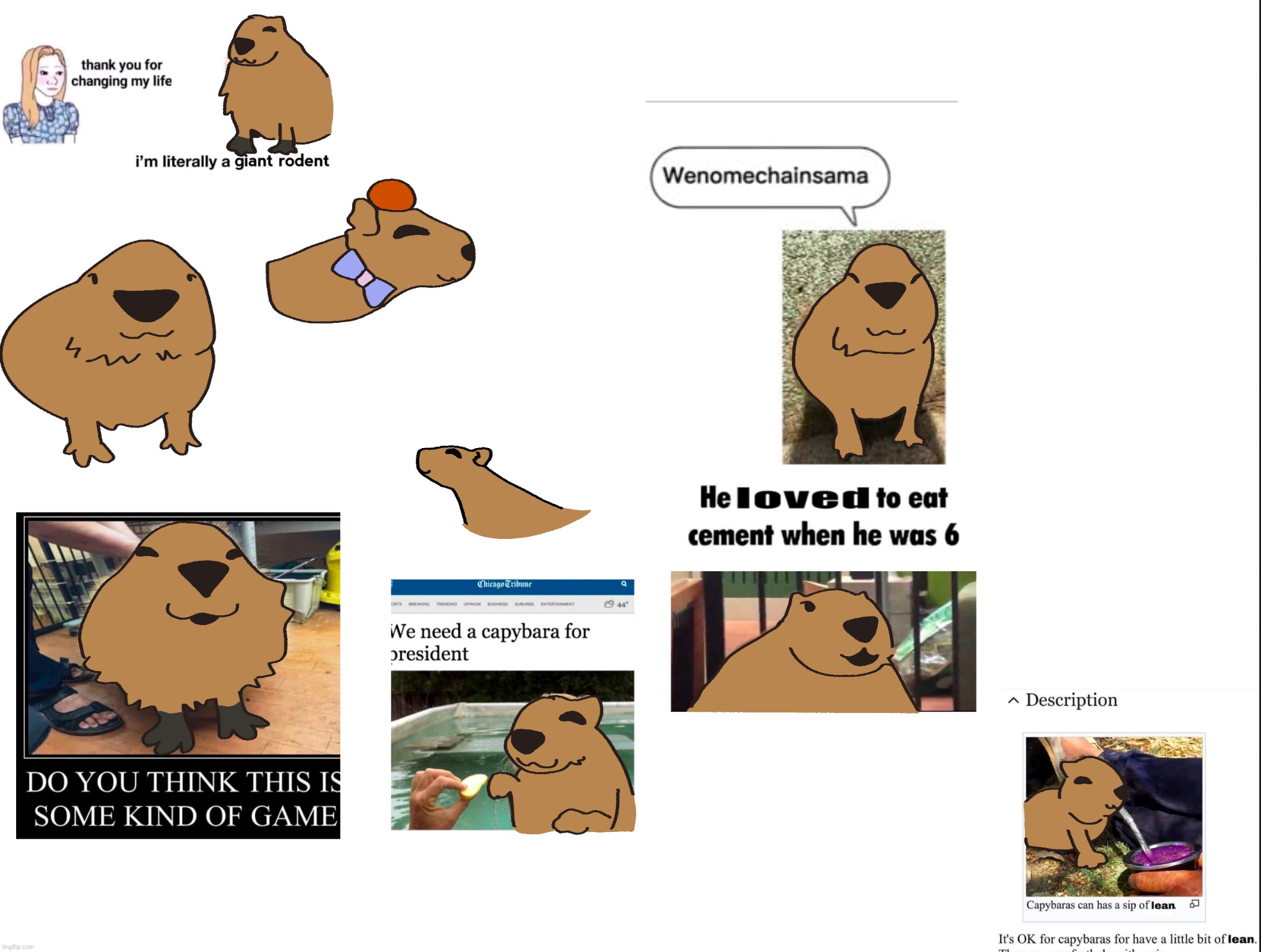 the memes | made w/ Imgflip meme maker