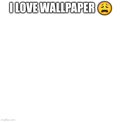 Blank Transparent Square | I LOVE WALLPAPER 😩 | image tagged in memes,blank transparent square | made w/ Imgflip meme maker