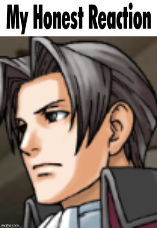 ace attorney my honest reaction | image tagged in ace attorney my honest reaction | made w/ Imgflip meme maker