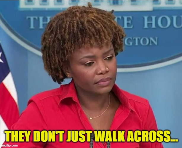 Karine Jean-Pierre | THEY DON'T JUST WALK ACROSS... | image tagged in karine jean-pierre | made w/ Imgflip meme maker