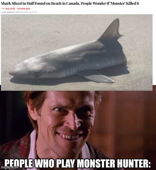 It’s time to hunt down the beast! | PEOPLE WHO PLAY MONSTER HUNTER: | image tagged in william dafoe | made w/ Imgflip meme maker