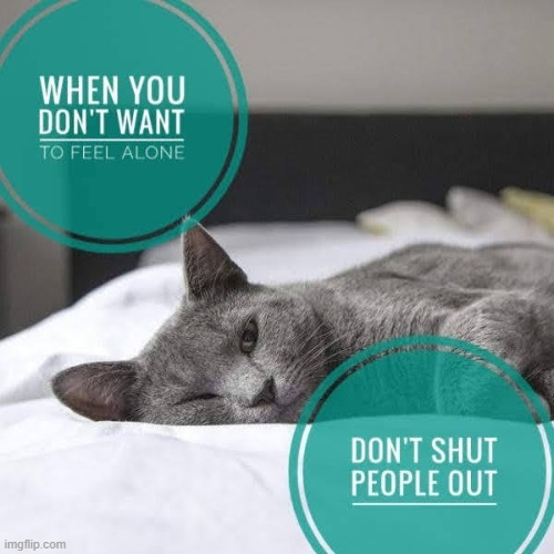 This #lolcat wonders why some want to be alone | image tagged in think about it,alone,lonely,lolcat,self isolation | made w/ Imgflip meme maker